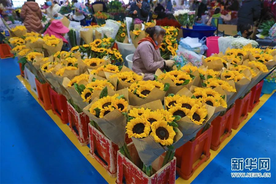 昆明滇池国家旅游度假区管理委员会(微信)