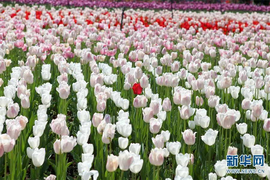 昆明滇池国家旅游度假区管理委员会(微信)