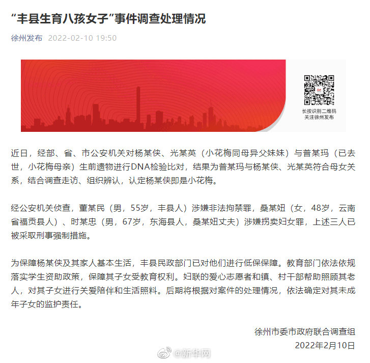 丰县生育八孩女子事件调查处理情况