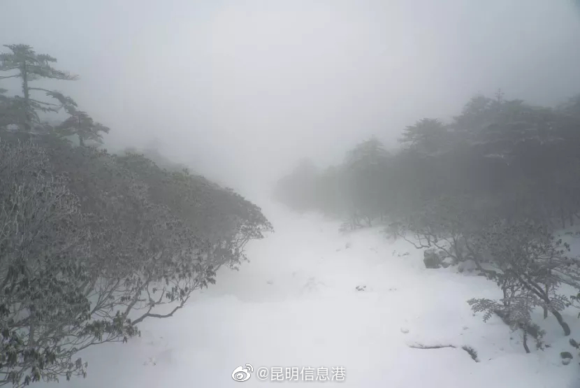 昆明信息港