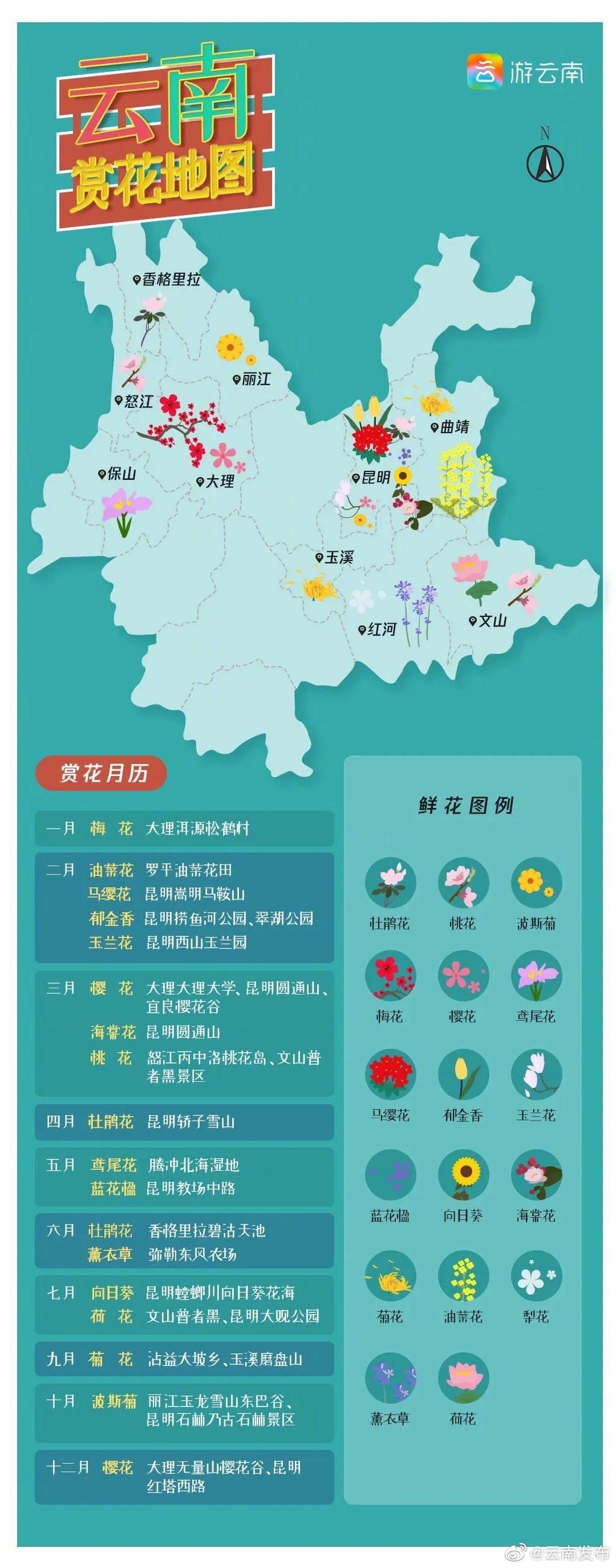 “云南发布”微博