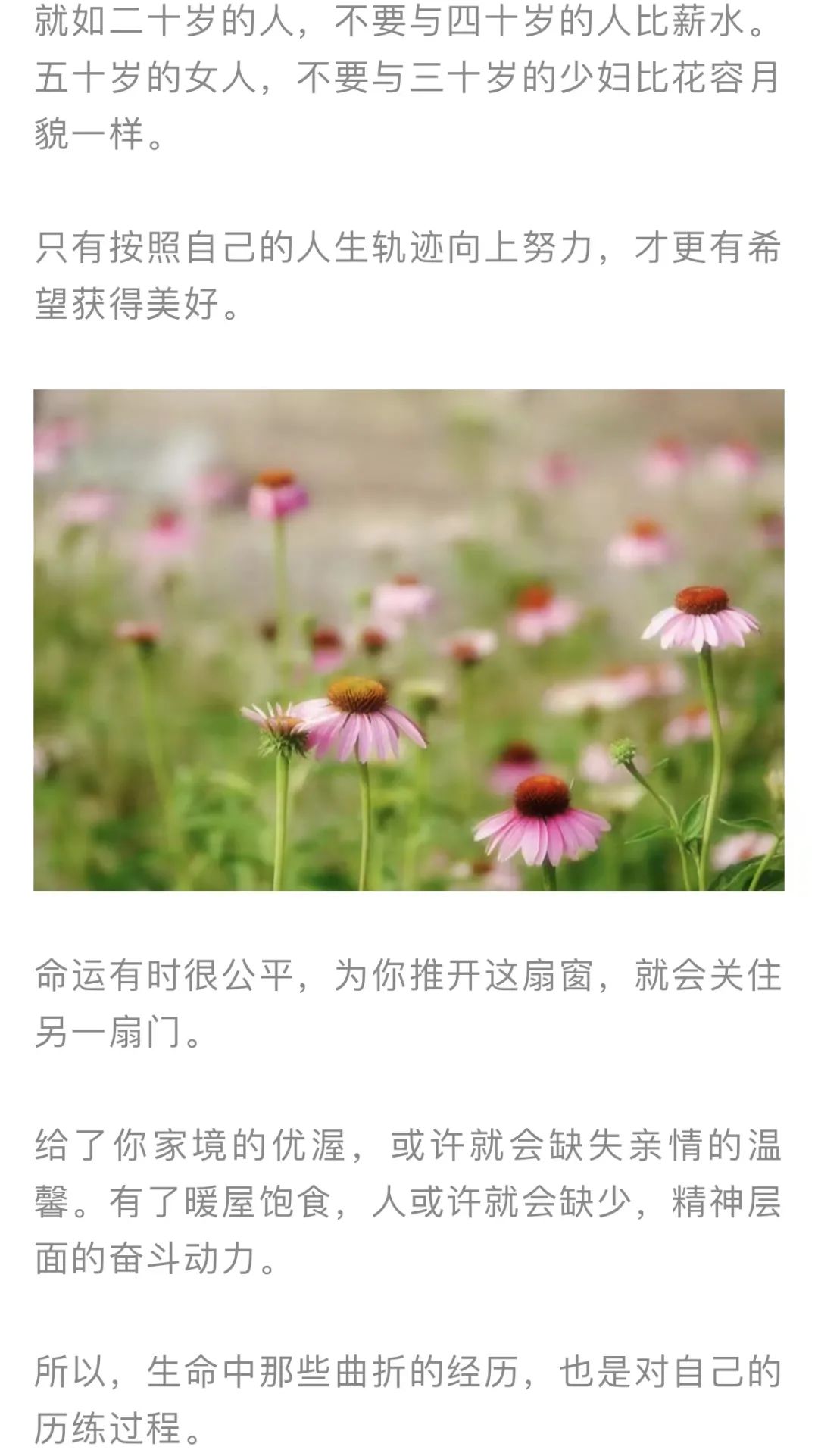 红色扎西