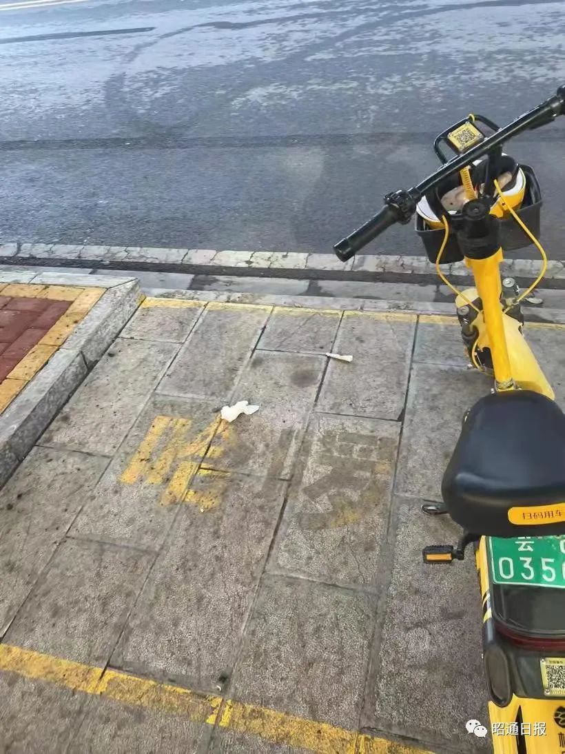 昭通日报