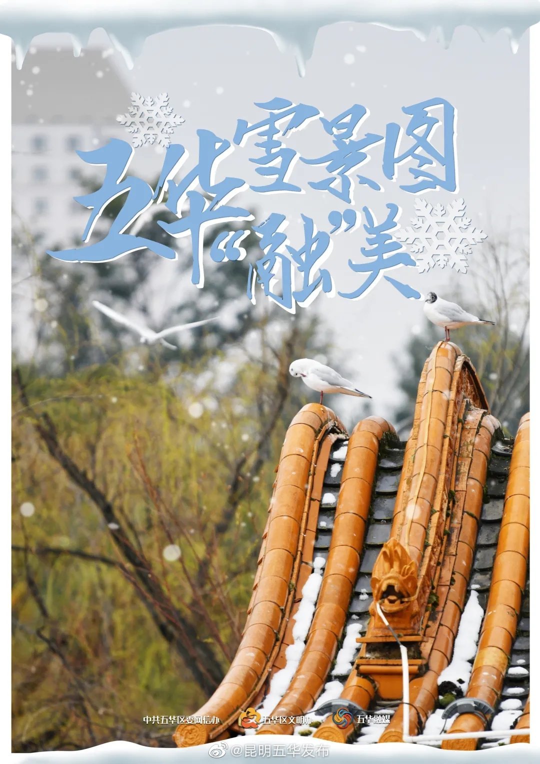 “昆明五华发布”微博