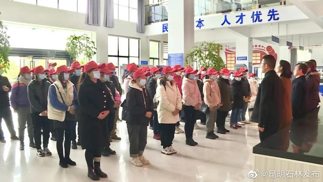 昆明石林发布