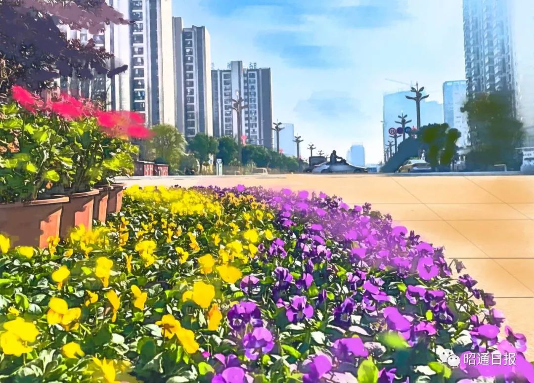 昭通日报