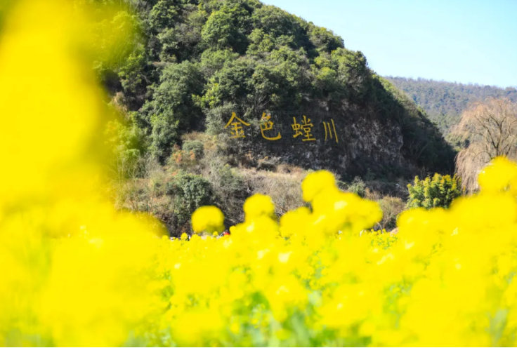 “云南发布”微博