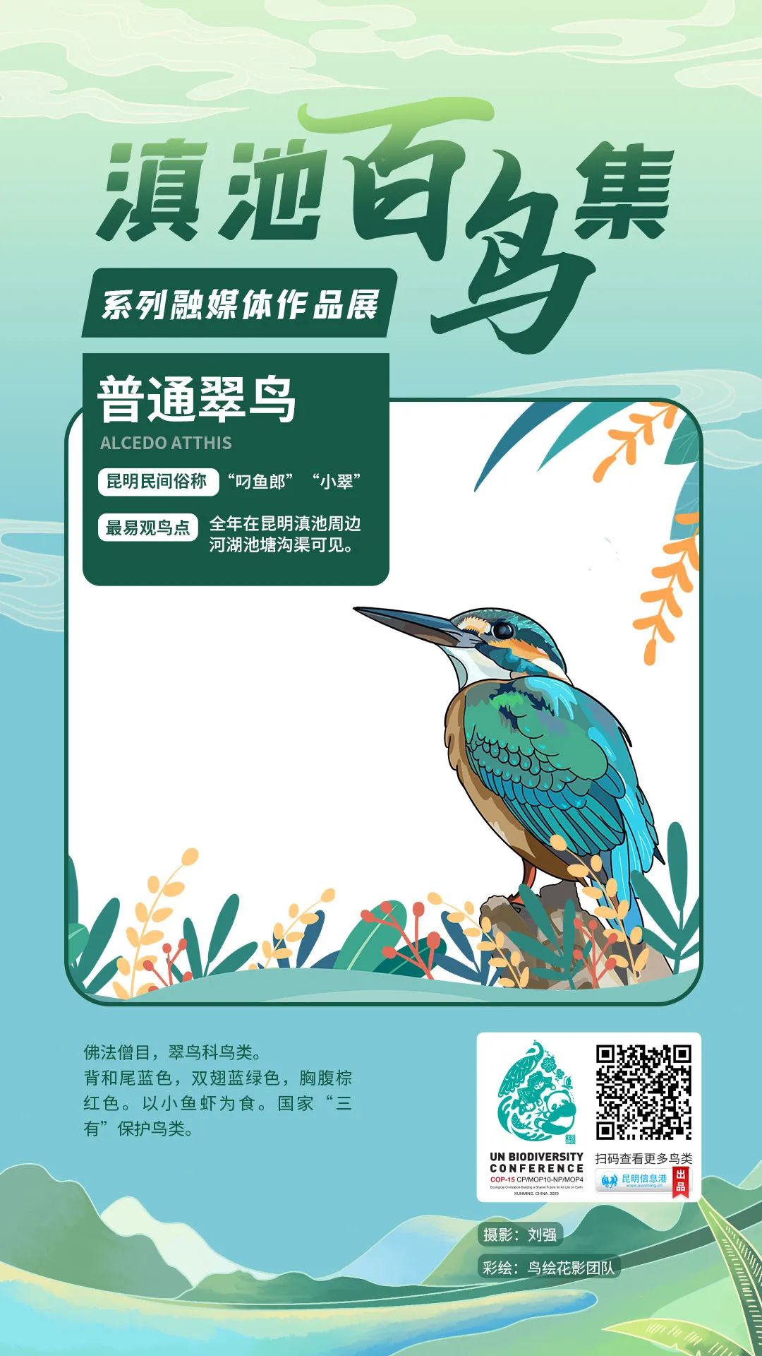 昆明信息港/cnkmxxg