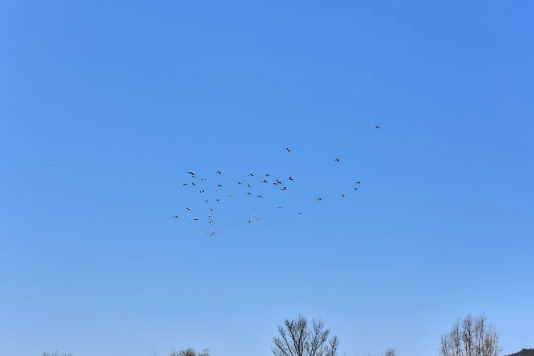 玉溪发布