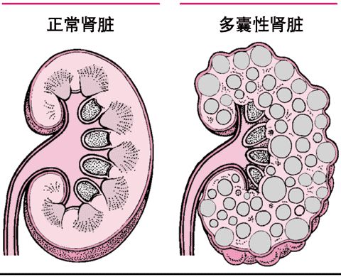 云南省中医医院