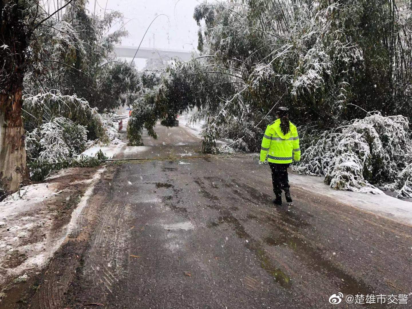 楚雄市交警微博