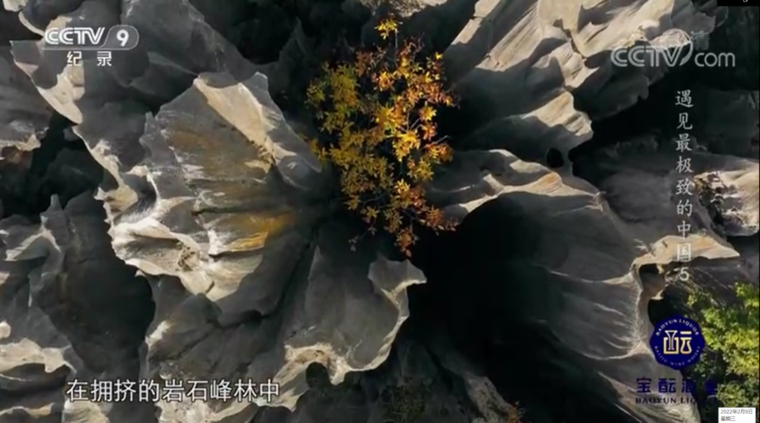 文明昆明