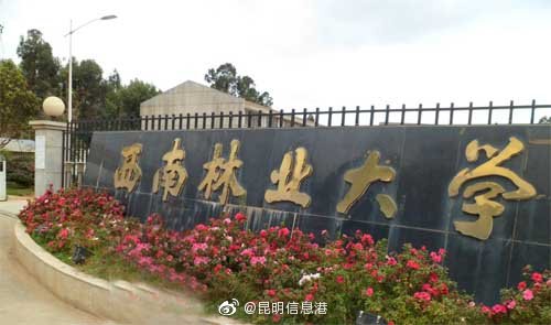 昆明信息港