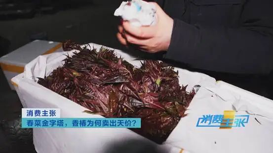 掌上春城微信公众号