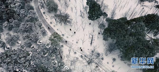 昆明信息港