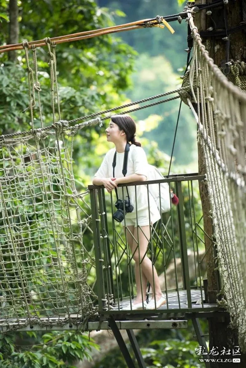 西双版纳望天树景区