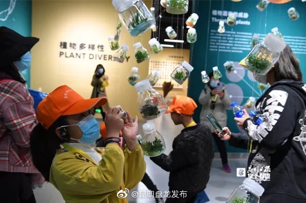 昆明盘龙发布