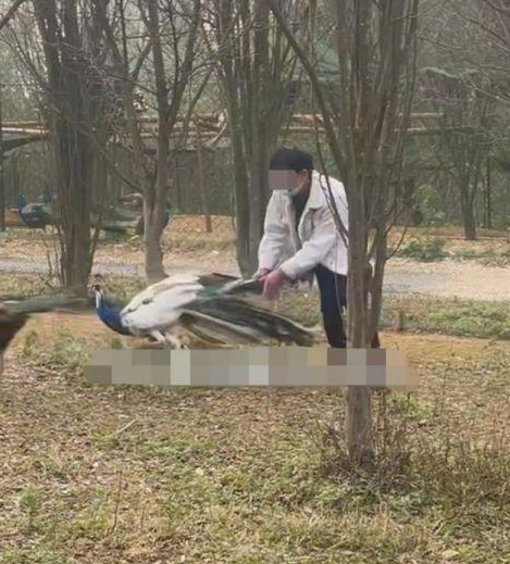 春城晚报