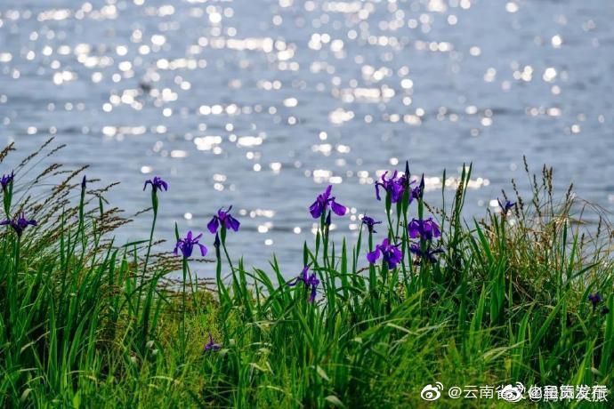 呈贡发布