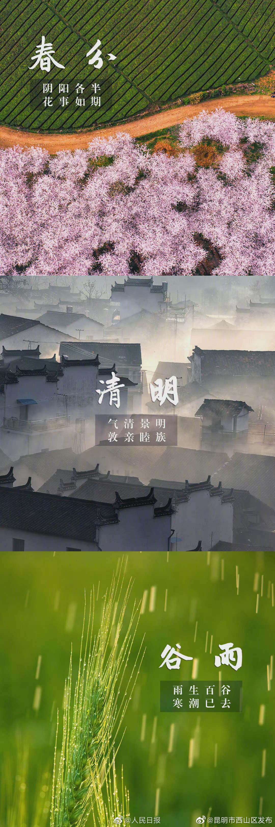 “昆明市西山区发布”微博