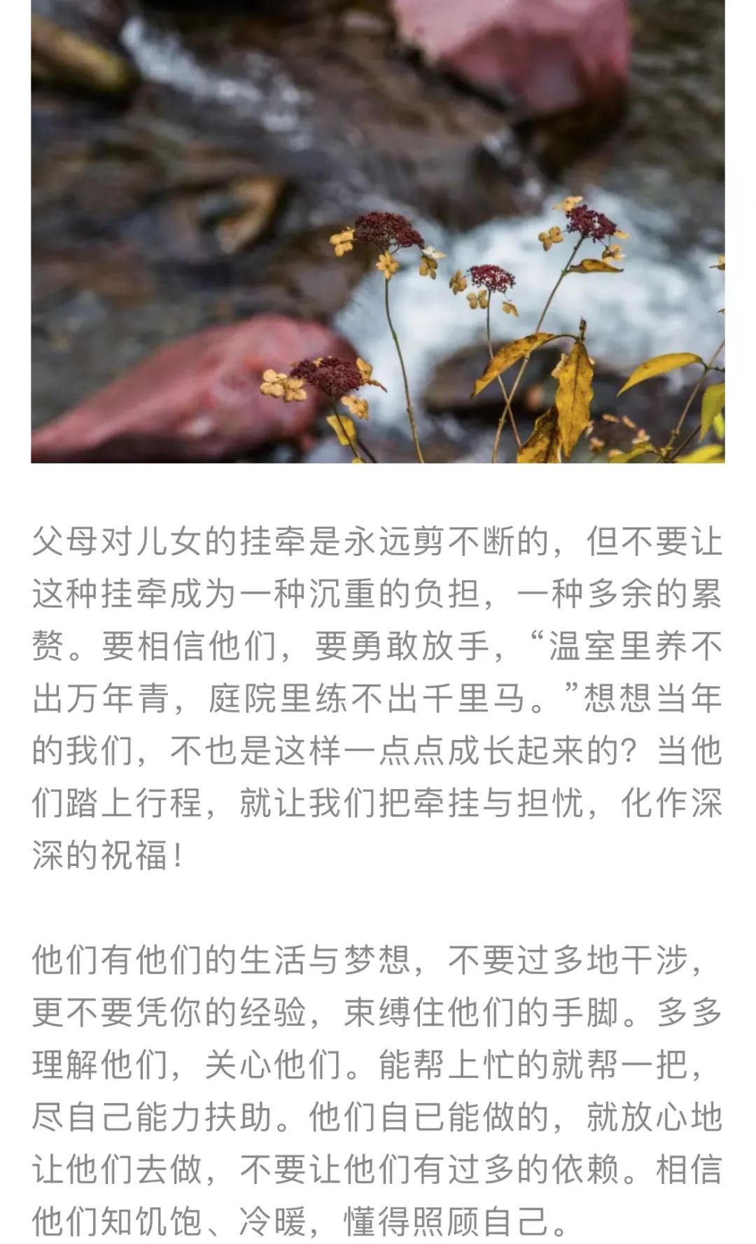 红色扎西