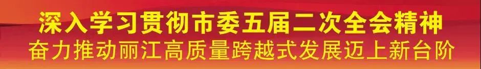 丽江日报