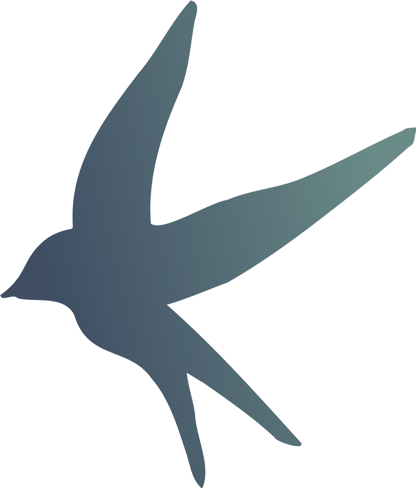 西双版纳望天树景区