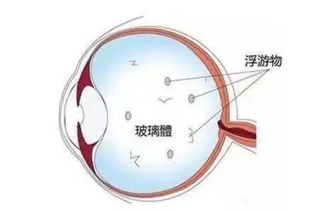 云南省中医医院