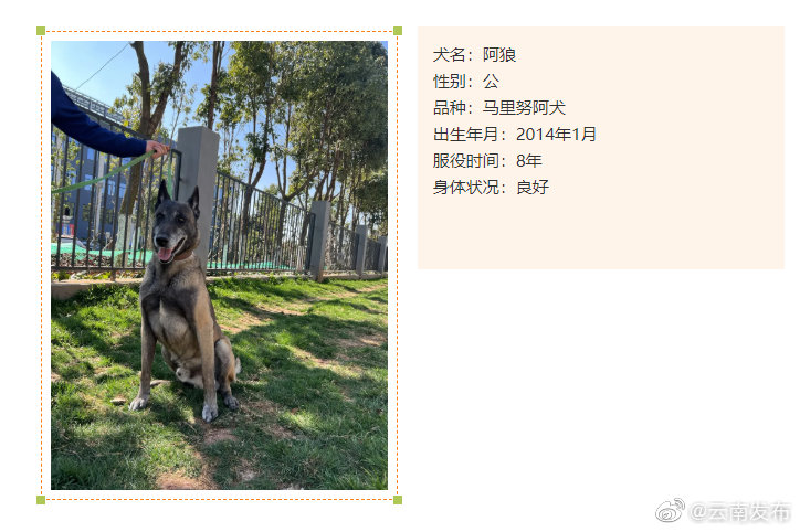 “云南发布”微博