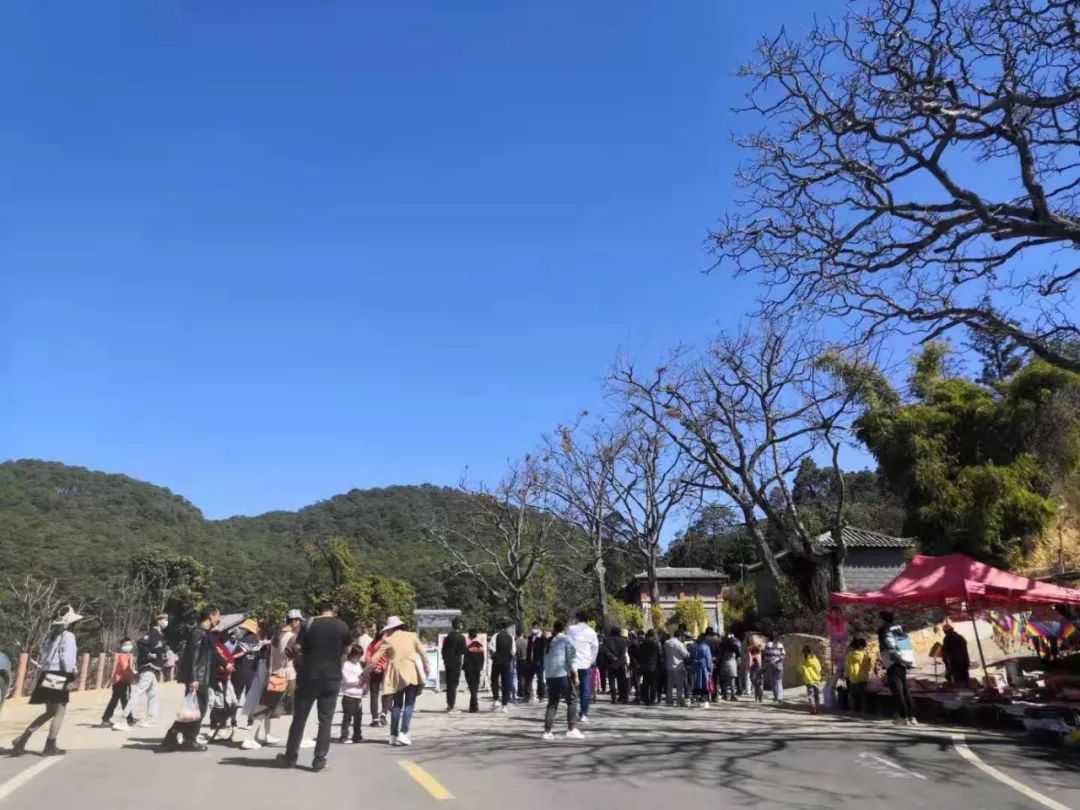 保山新闻网
