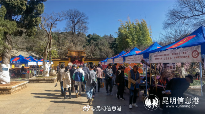 昆明信息港