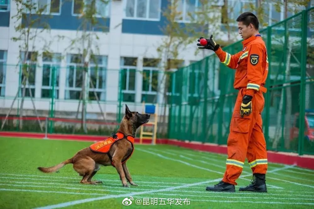 “昆明五华发布”微博