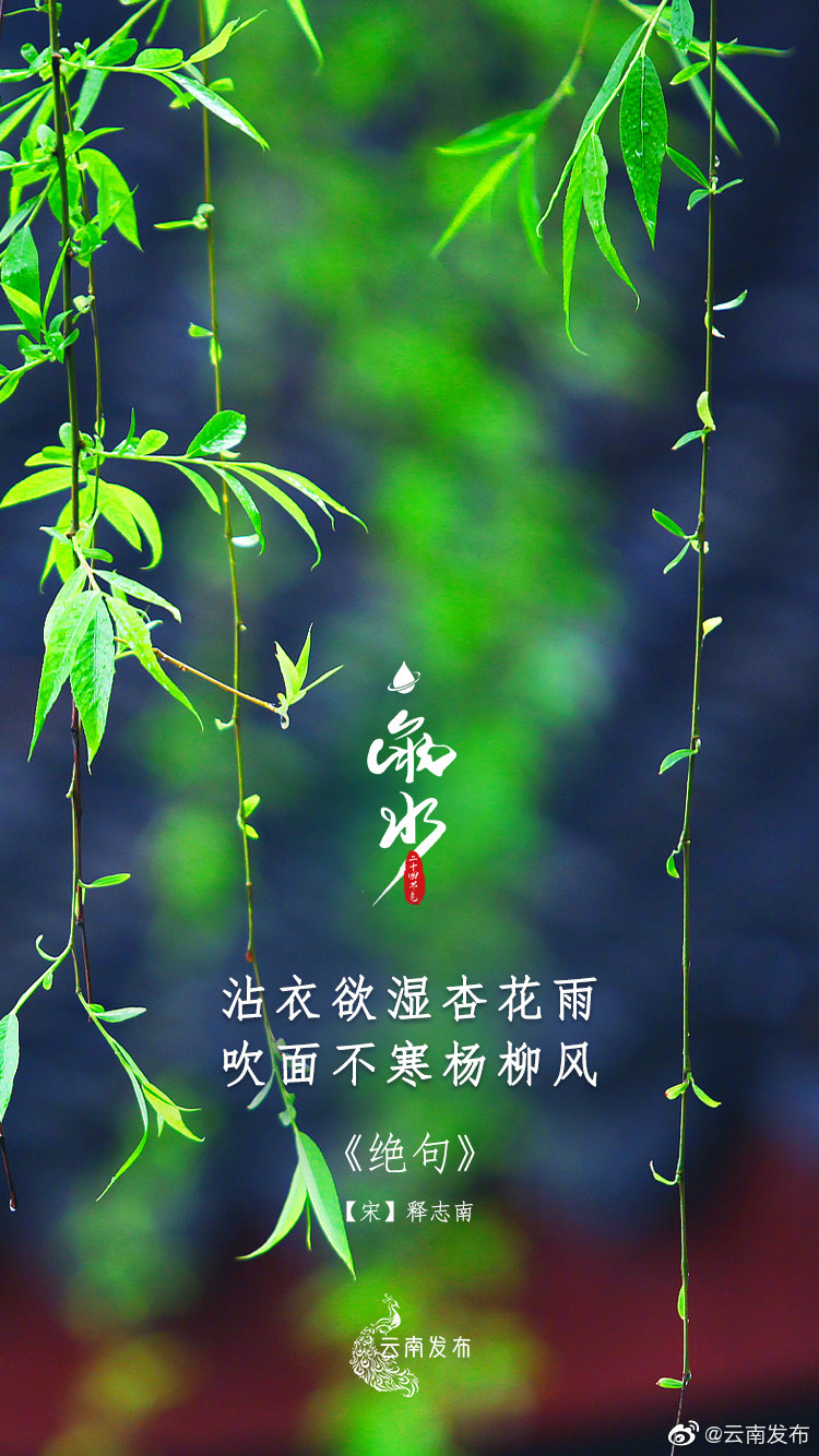 “云南发布”微博