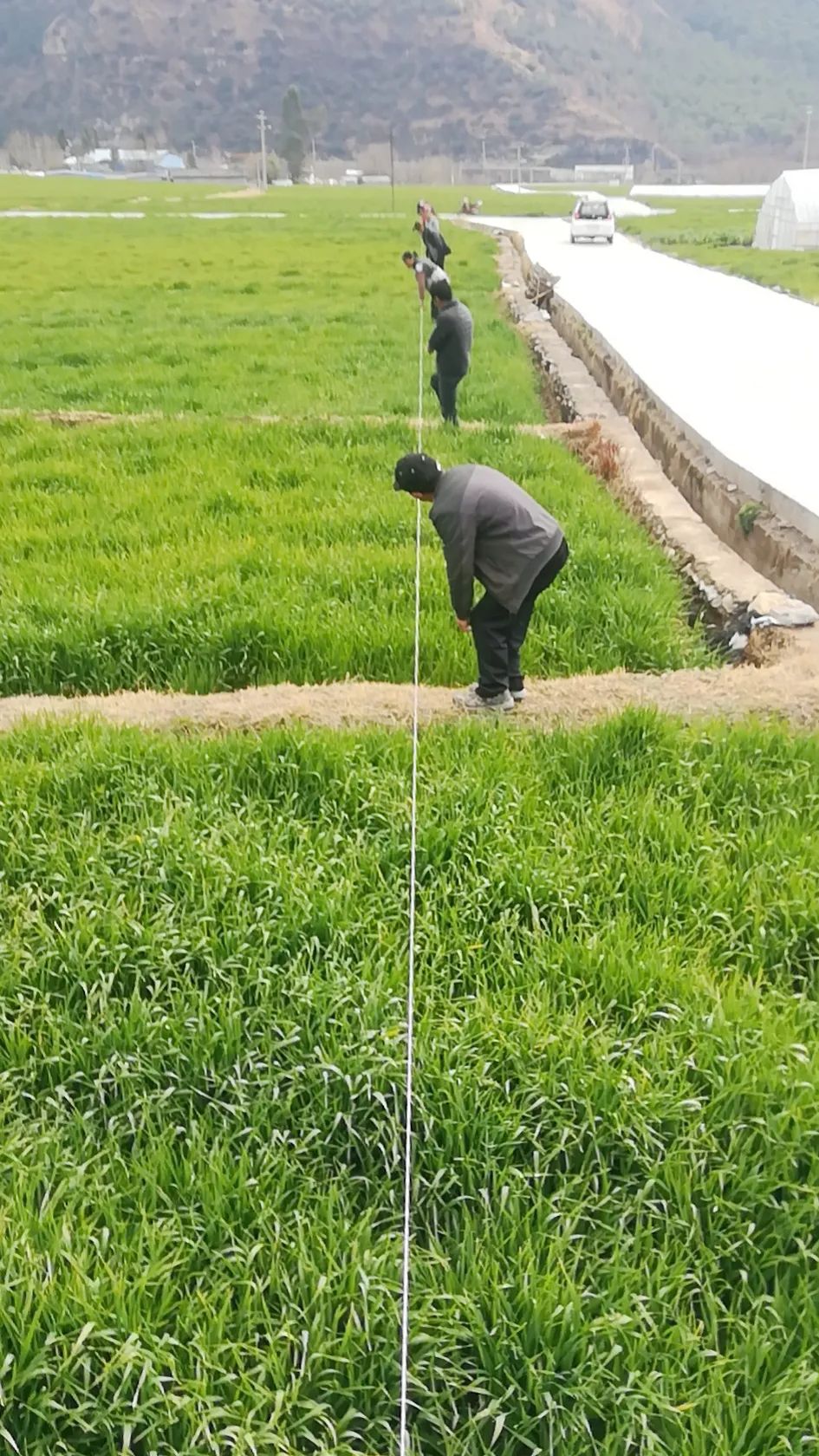 丽江日报