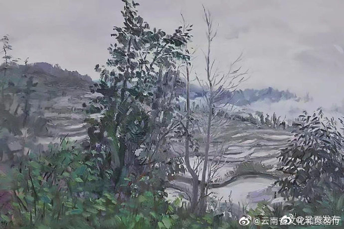 呈贡发布