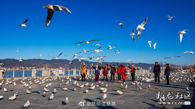 昆明信息港