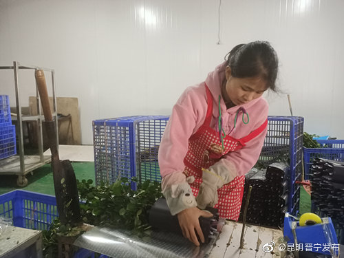 昆明晋宁发布