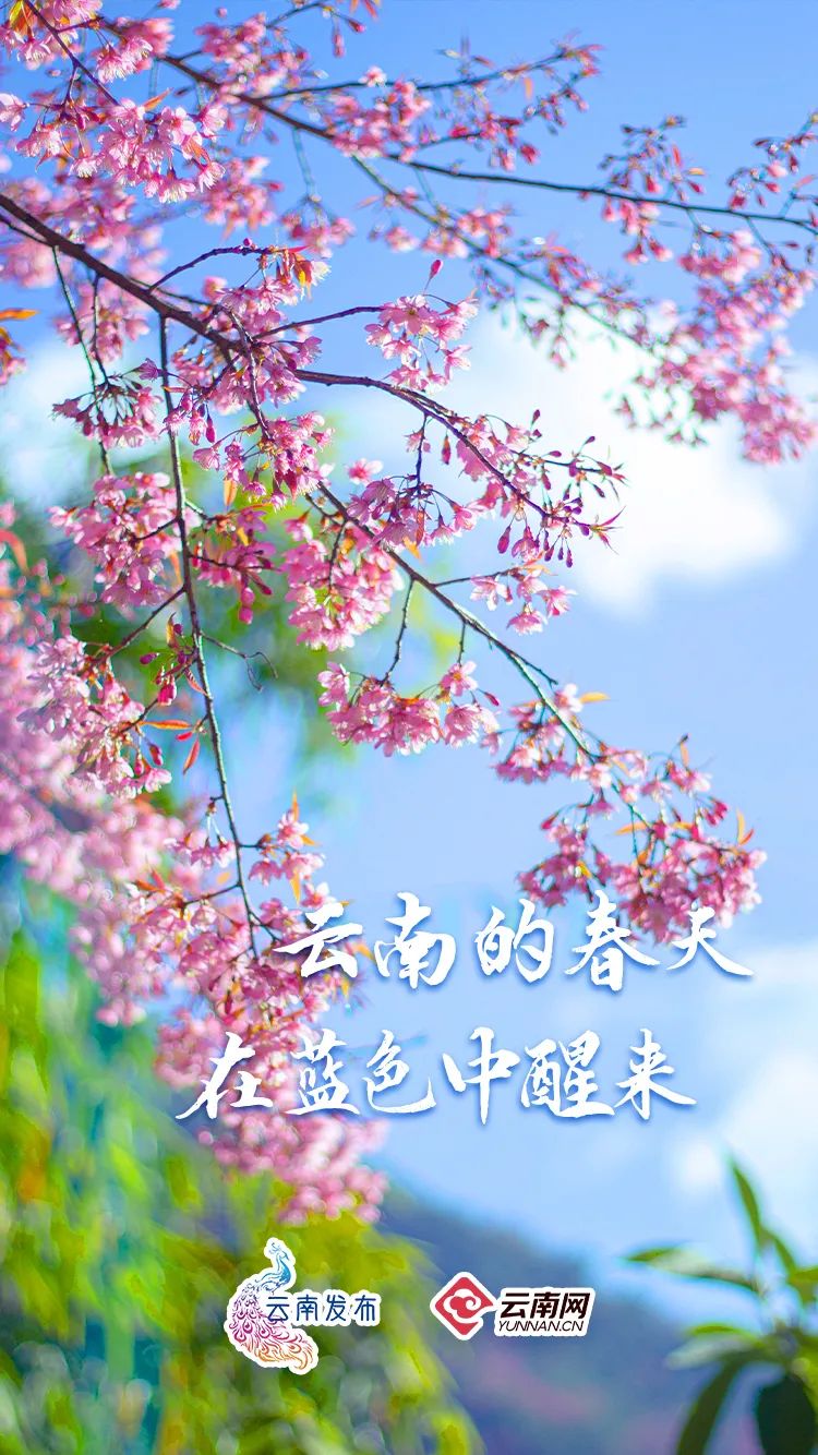玉溪发布