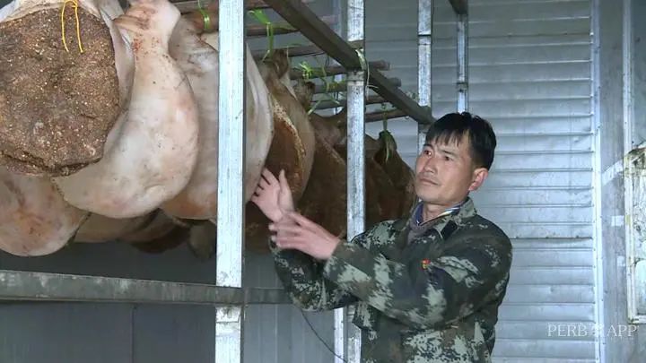 普洱日报