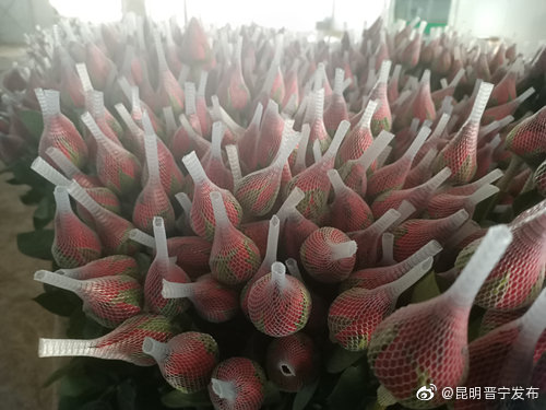 昆明晋宁发布
