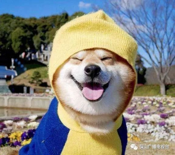 保山广播电视台