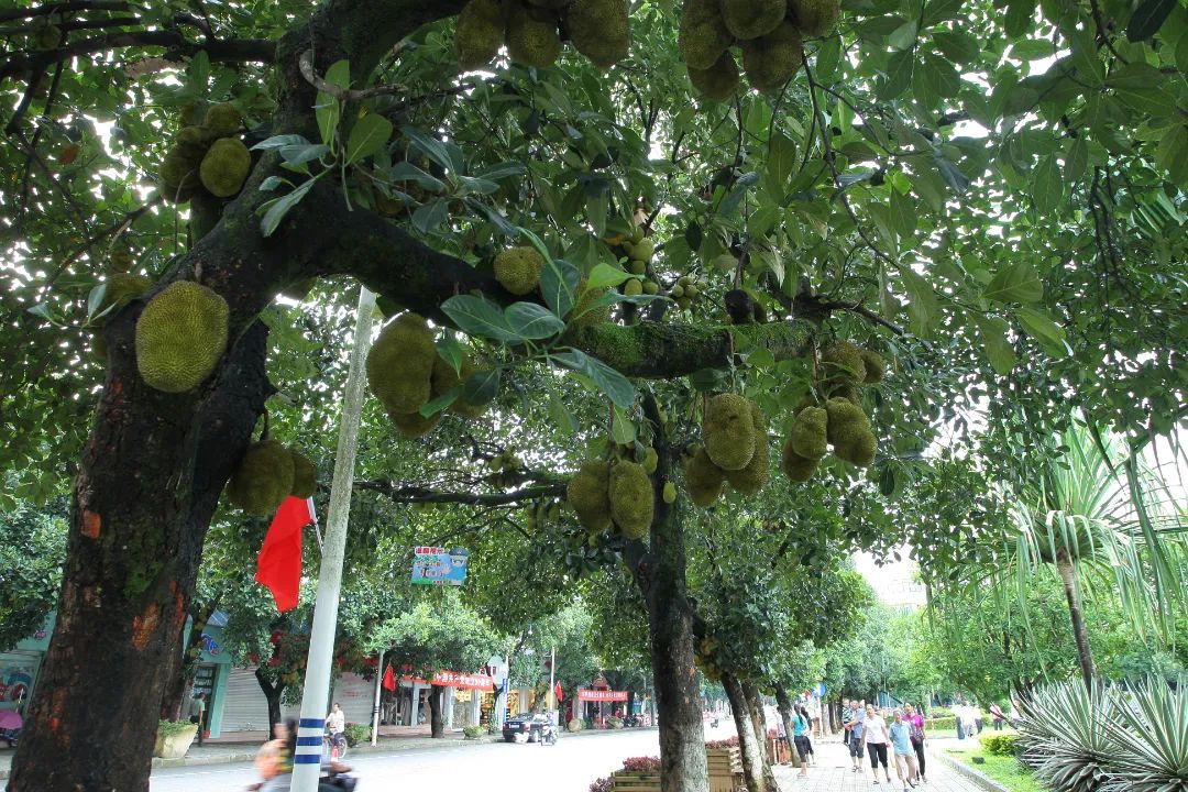 云南法制报