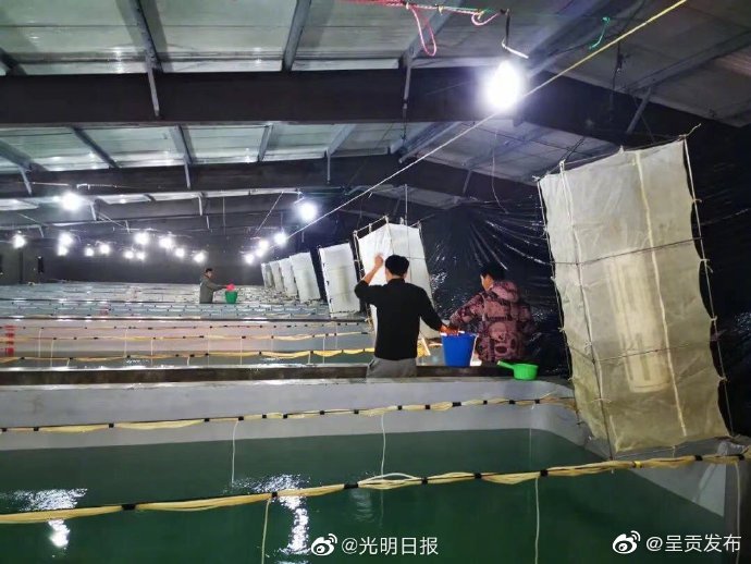 呈贡发布