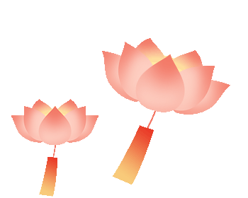微丽江
