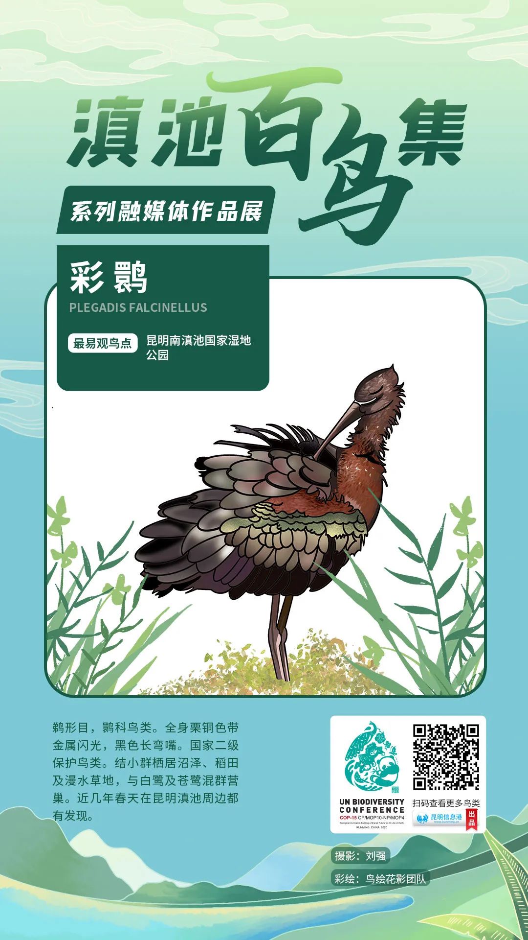 昆明信息港/cnkmxxg