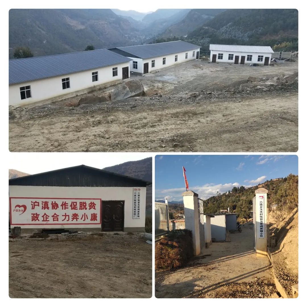 丽江日报