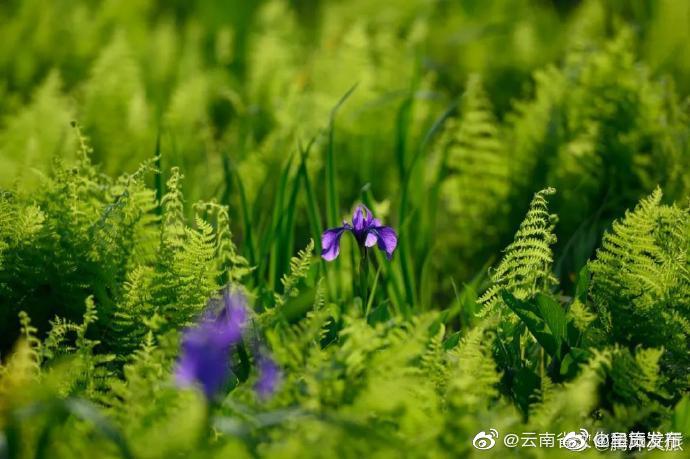 呈贡发布