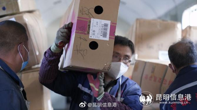 昆明信息港