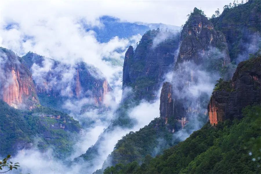 微丽江