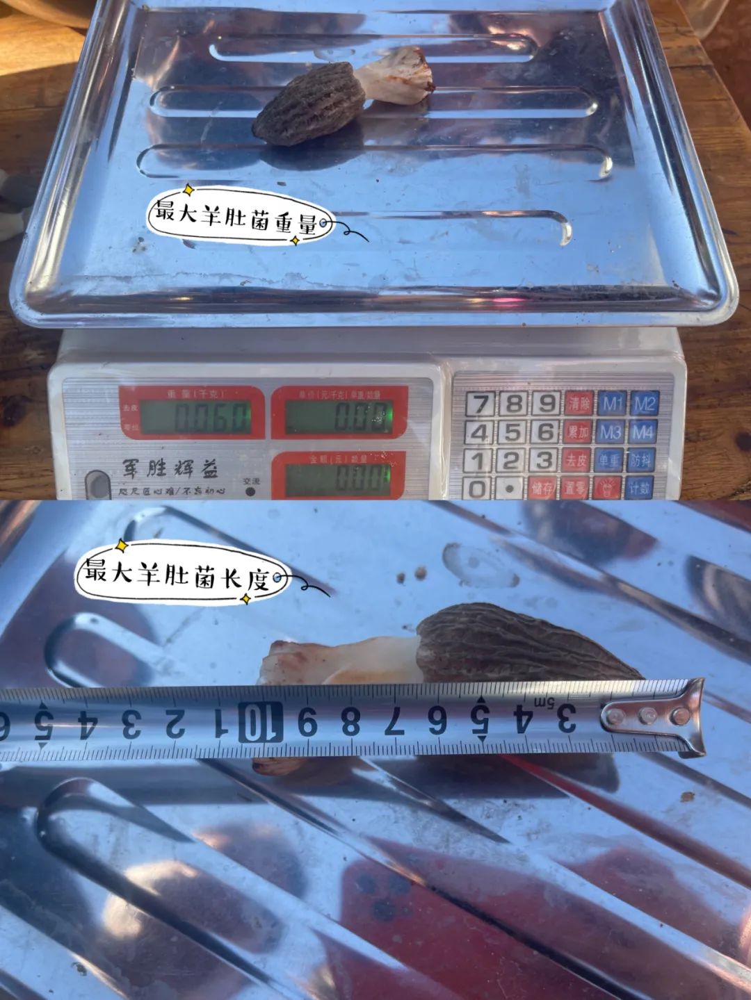 丽江日报